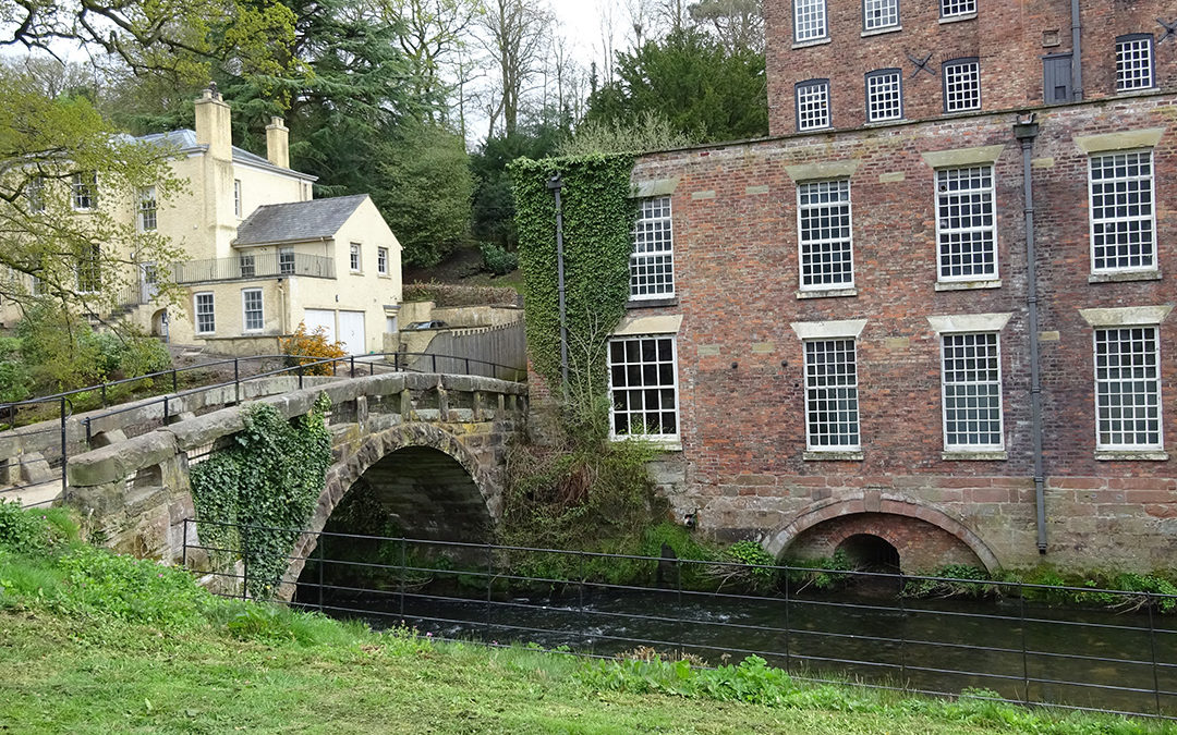 Quarry Bank Project